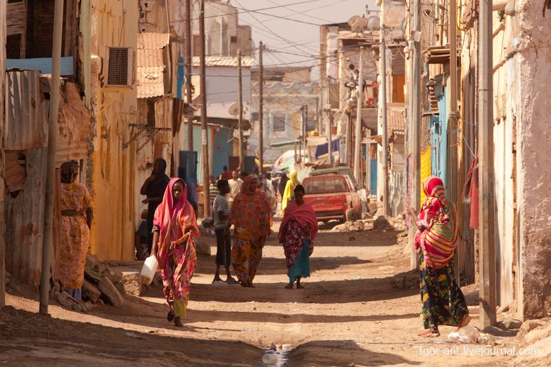 По країнах Африканського рогу: Сомаліленд, Джібуті, Еритрея