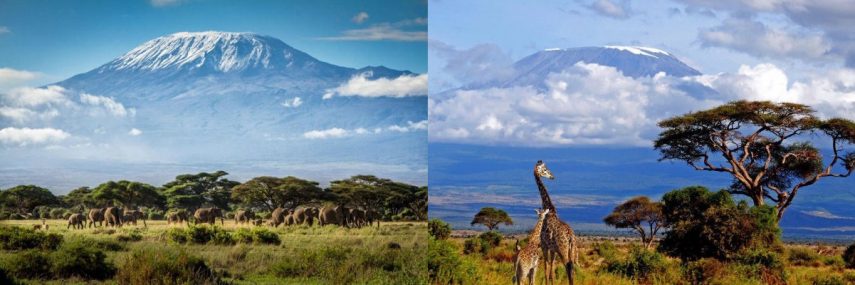 Відпочинок на Занзібарі та сафарі по найкращим Національним паркам Танзанії