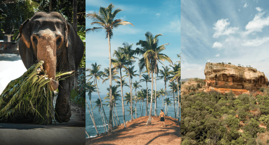 All Sri Lanka in one tour (the most popular sightseeing tour)