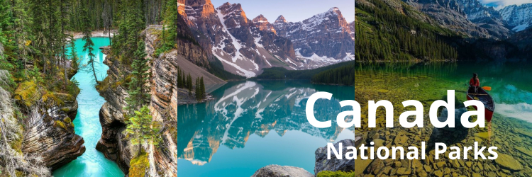 Canada Calipso