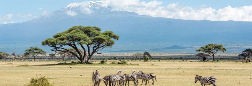 Гранд сафари в Кении