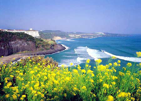 Your best vacation, tours to South Korea
